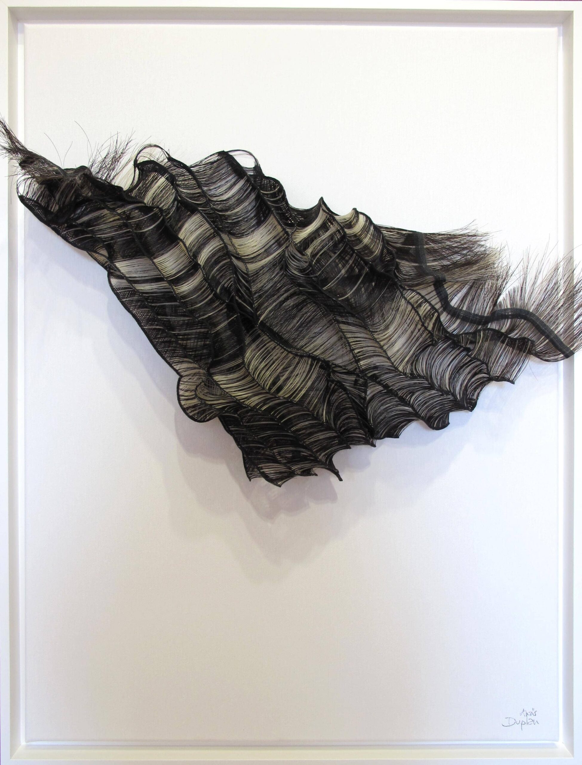 Anaïs Duplan 1 (1)