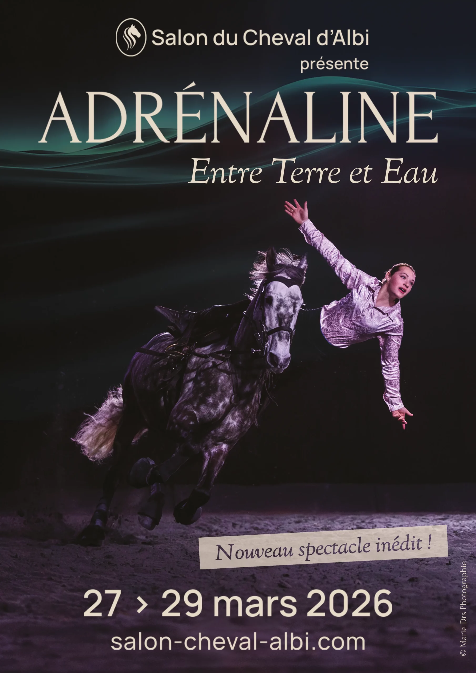 Soirée spectacle salon du cheval d'Albi