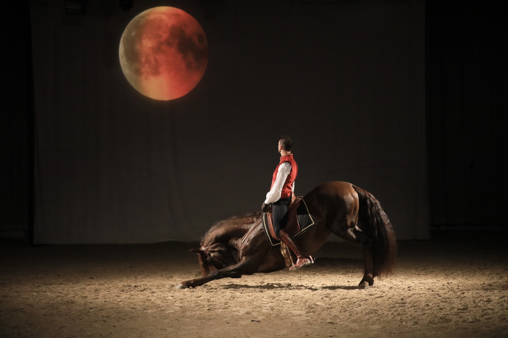 Clémence Faivre spectacle salon du cheval d'Albi