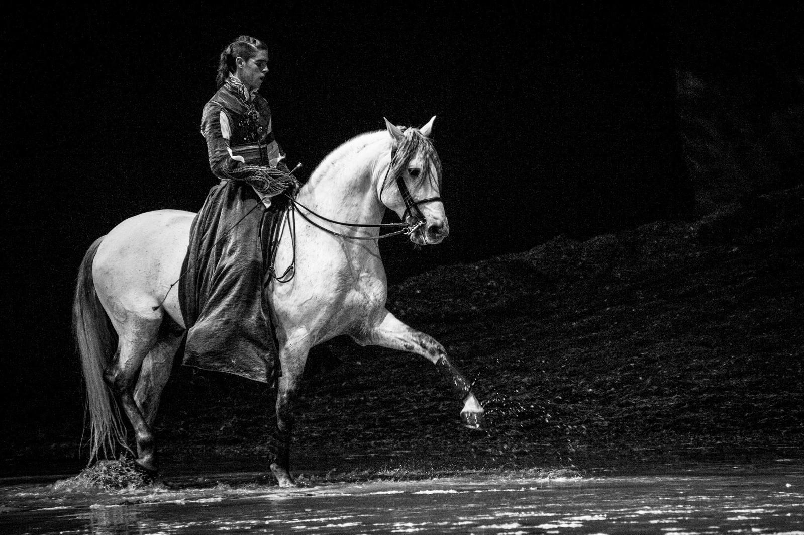 Clémence Faivre spectacle salon du cheval d'Albi