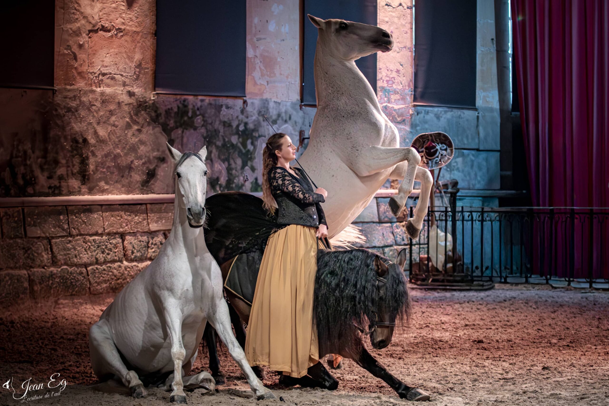 Clémence Faivre spectacle salon du cheval d'Albi