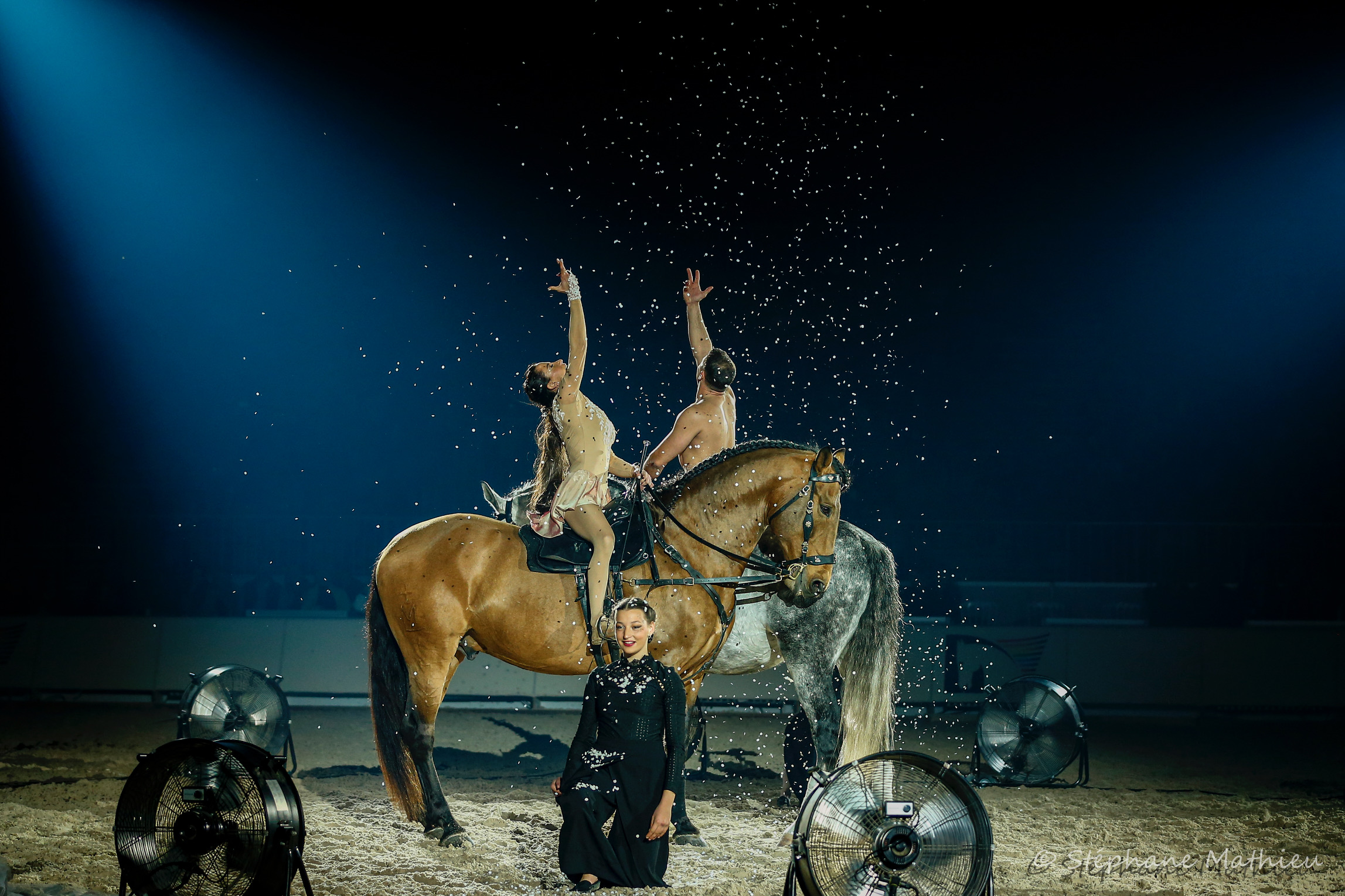 Clémence Faivre spectacle salon du cheval d'Albi