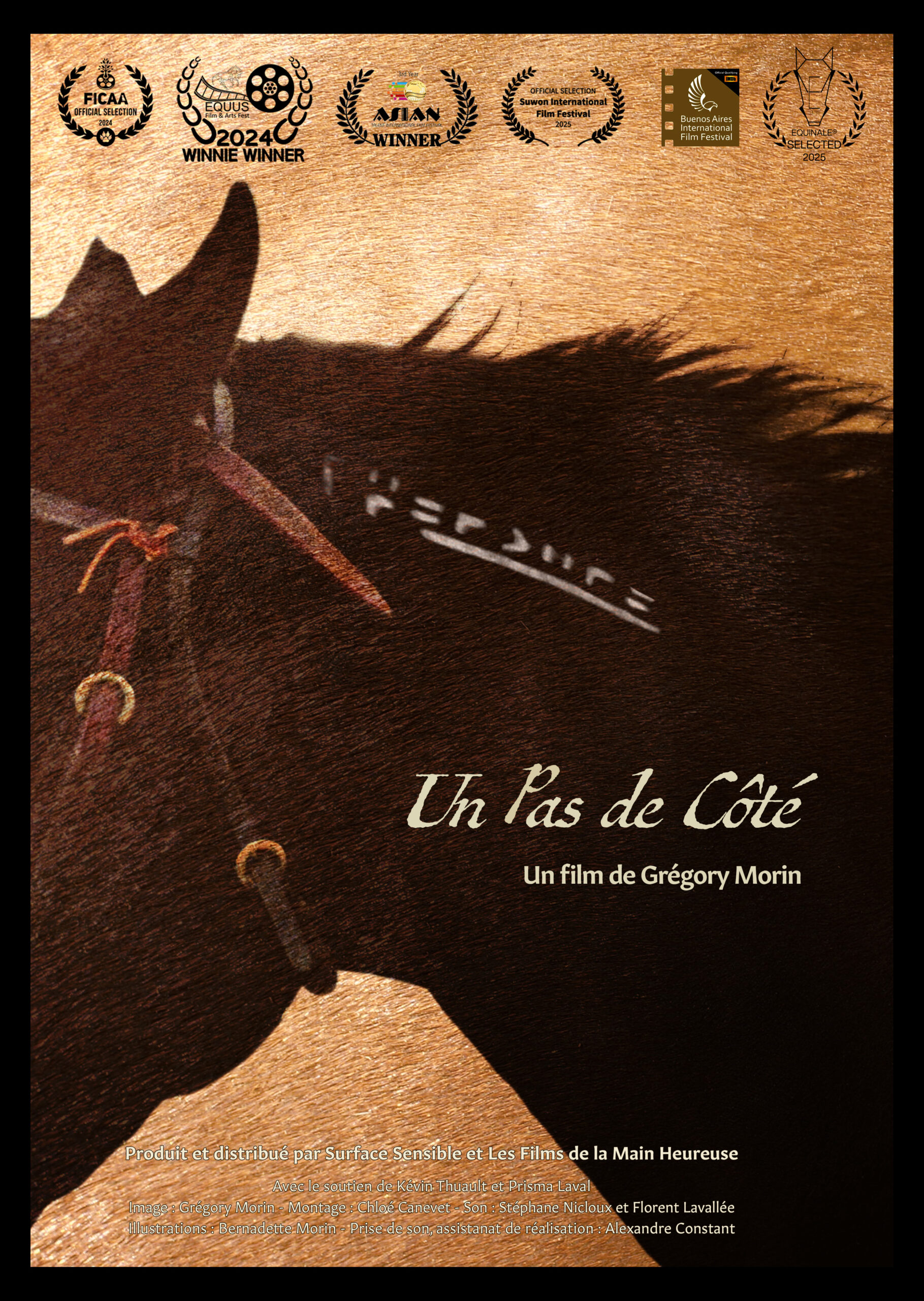 affiche du salon du cheval d'Albi représentant un cheval au galop